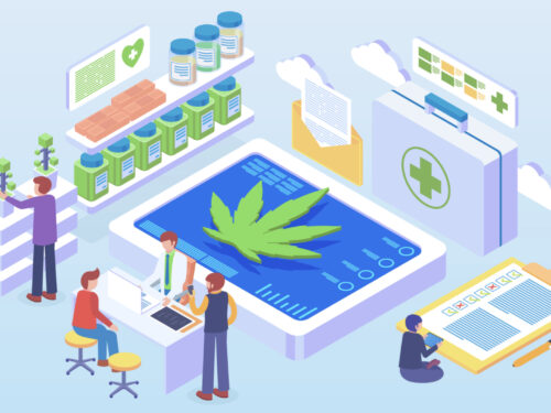 Cannabis SEO – Best SEO Agency for the Cannabis Industry | A Complete Guide