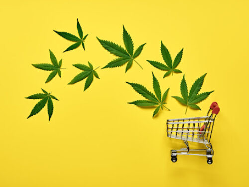 10 façons d’améliorer le SEO de mon site de cannabis
